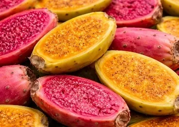 Prickly Pear, a MetaBurn ingredient